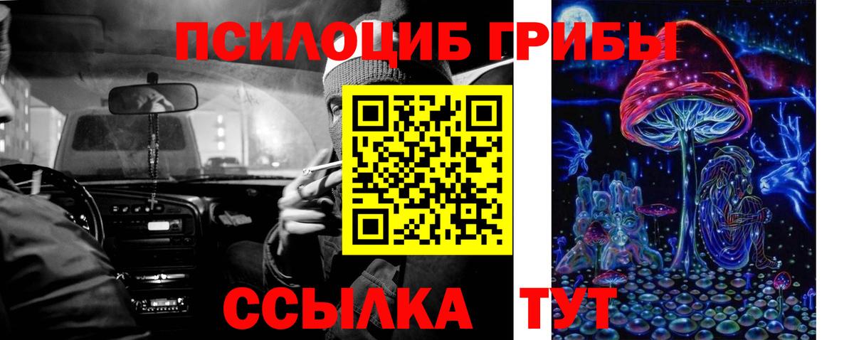 Псилоцибиновые грибы Cubensis  Вход с VPN  Набережные Челны 